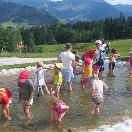 Haus Sommerstein Maria Alm am Steinernen Meer Bagian luar foto